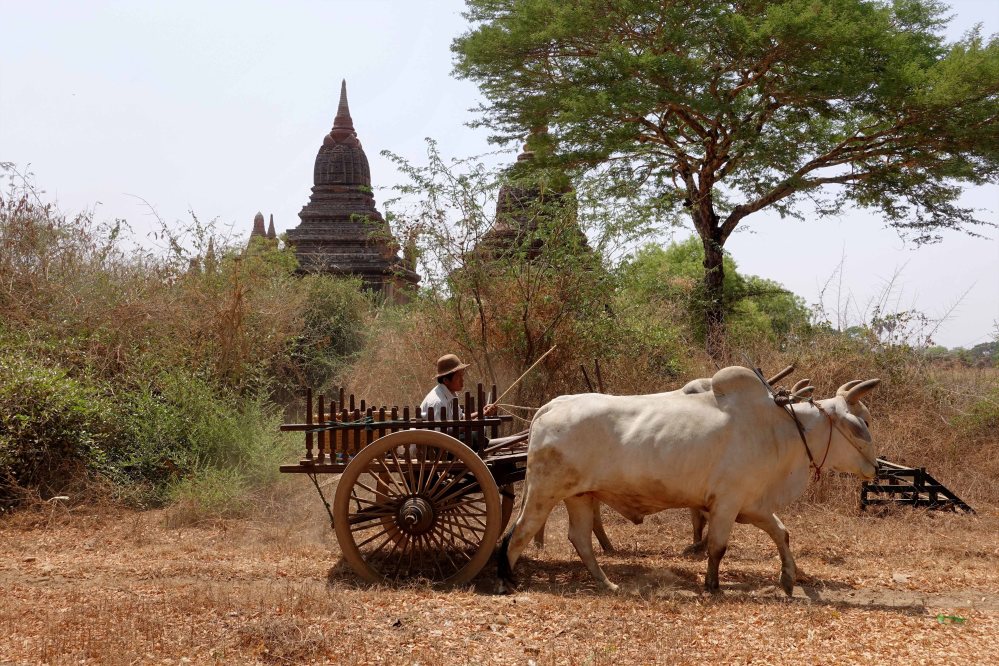 Bagan_352