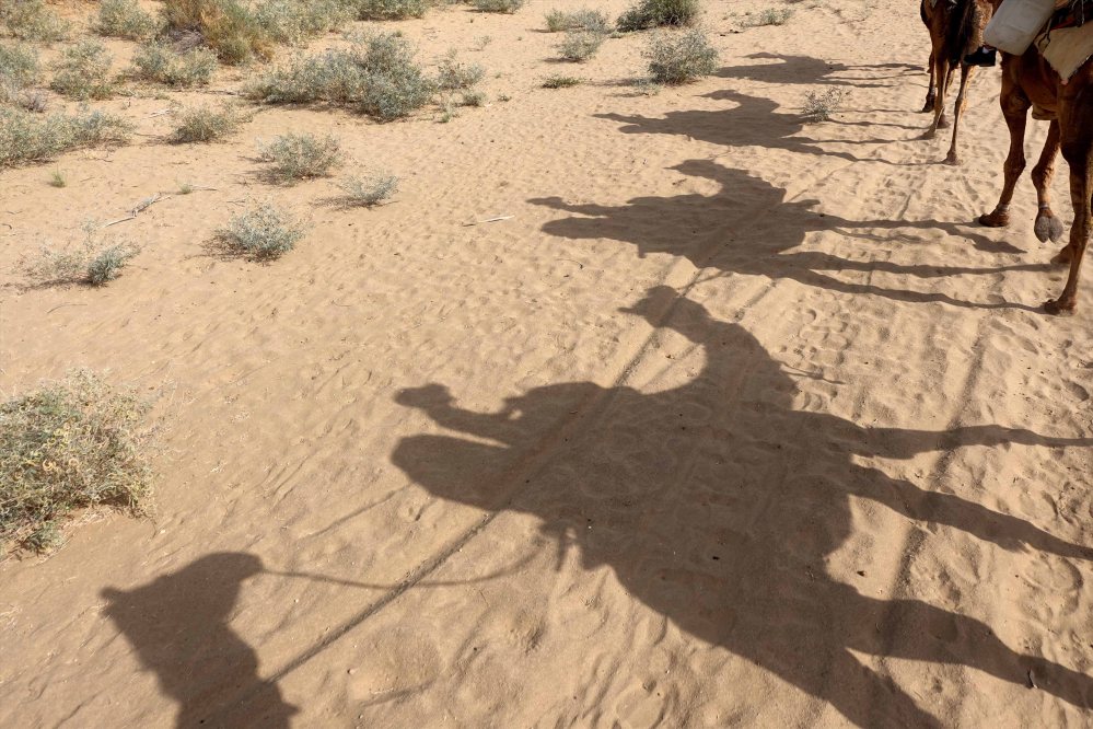 Thar-Desert-Safari_004