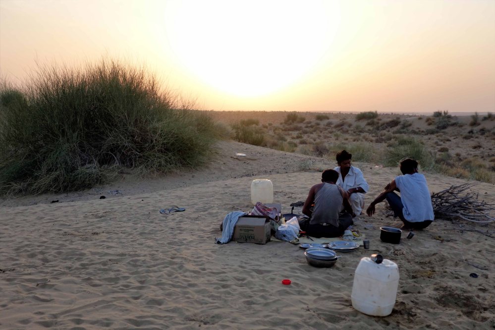 Thar-Desert-Safari_022